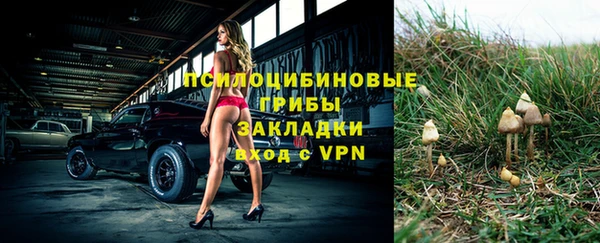 шишки Беломорск