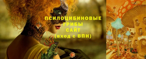 шишки Беломорск