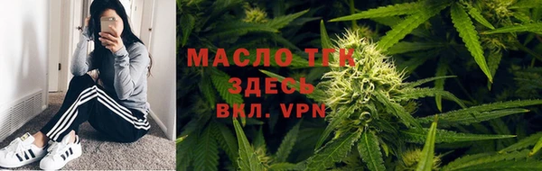 сатива Сосновый Бор