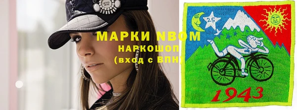 шишки Беломорск